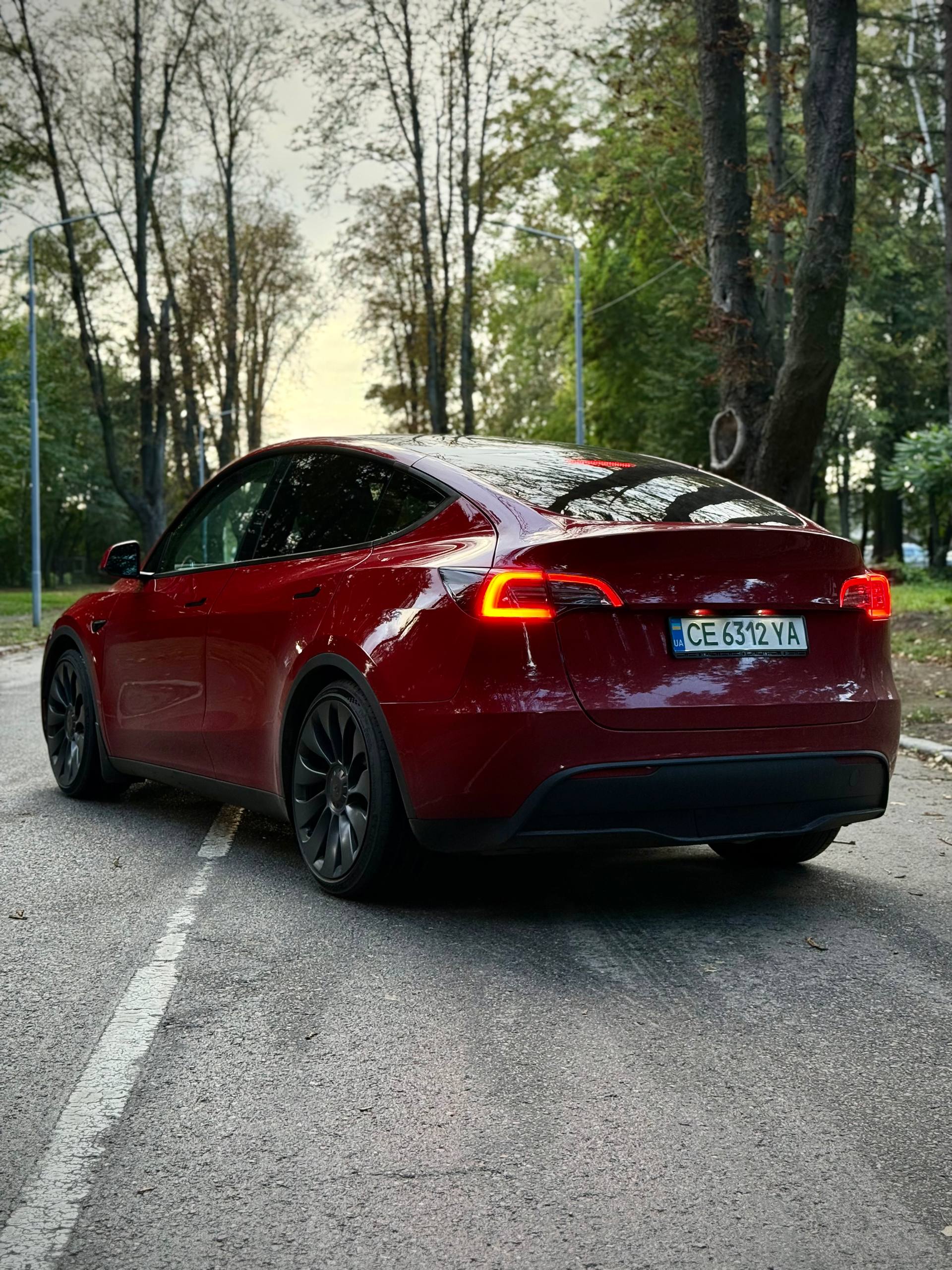 2022 Tesla Model Y 6