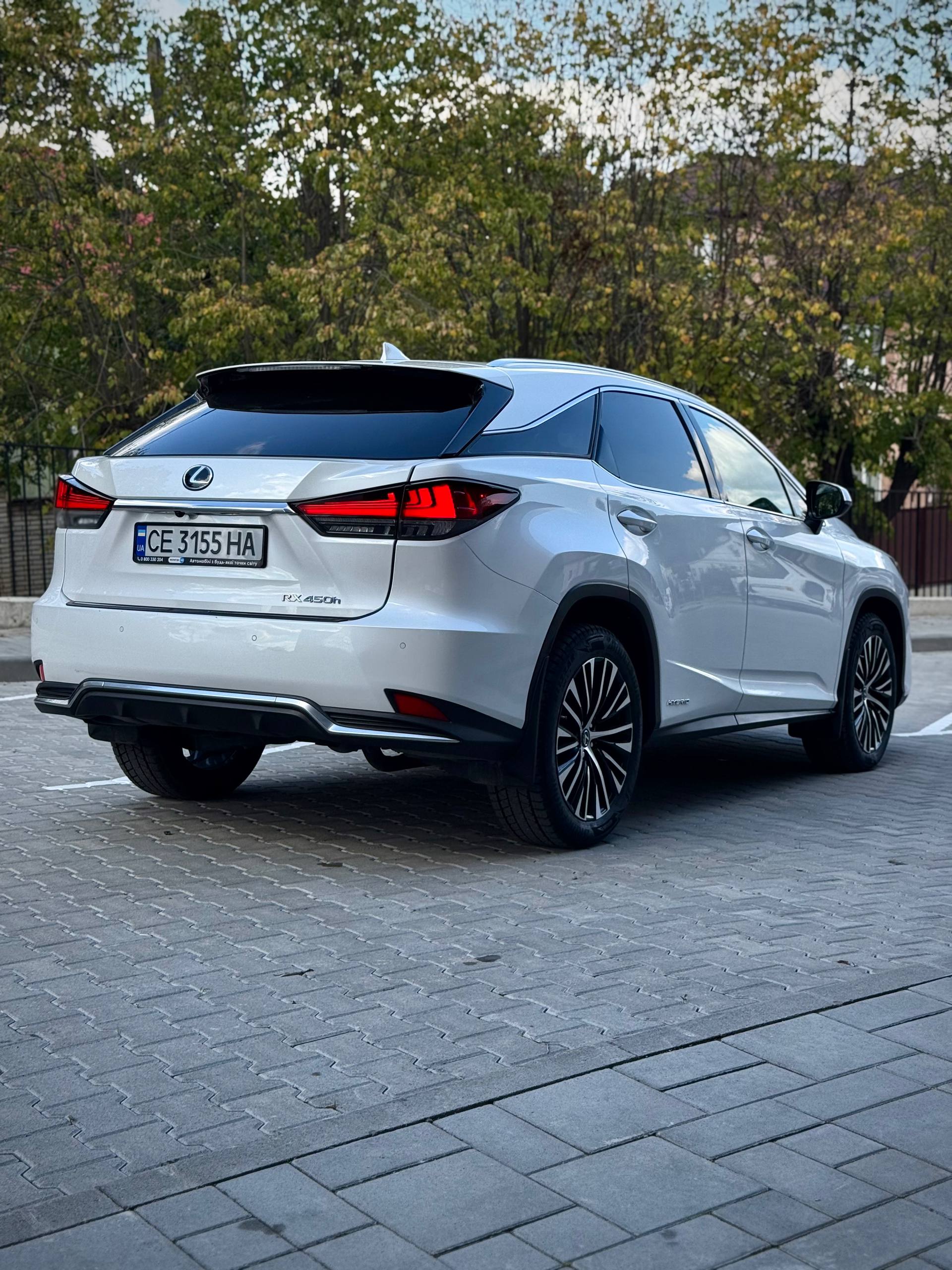 2022 Lexus RX450h 6